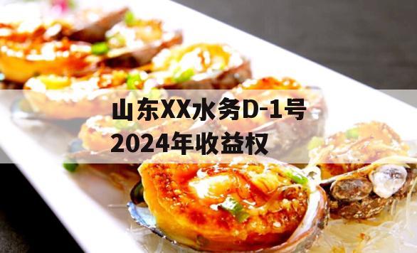 山东XX水务D-1号2024年收益权