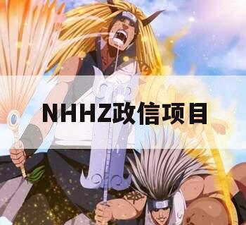 NHHZ政信项目