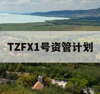 TZFX1号资管计划