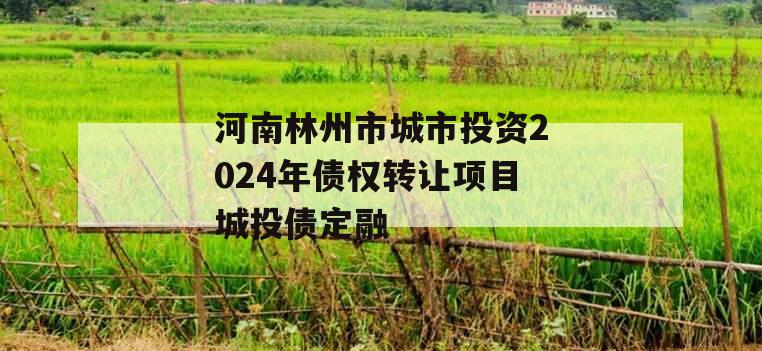 河南林州市城市投资2024年债权转让项目城投债定融