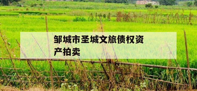 邹城市圣城文旅债权资产拍卖