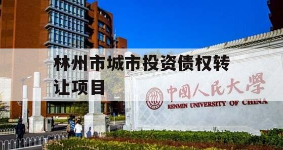 林州市城市投资债权转让项目
