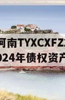河南TYXCXFZ2024年债权资产