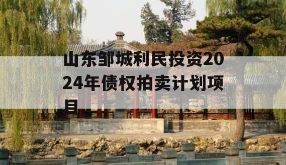 山东邹城利民投资2024年债权拍卖计划项目