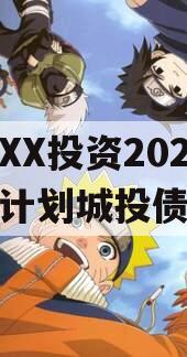 湖北XX投资2024融资计划城投债定融