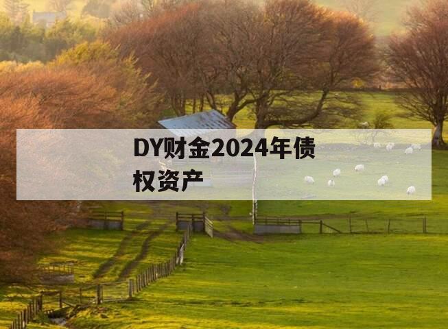 DY财金2024年债权资产