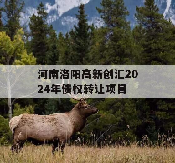 河南洛阳高新创汇2024年债权转让项目