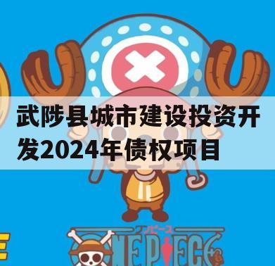 武陟县城市建设投资开发2024年债权项目