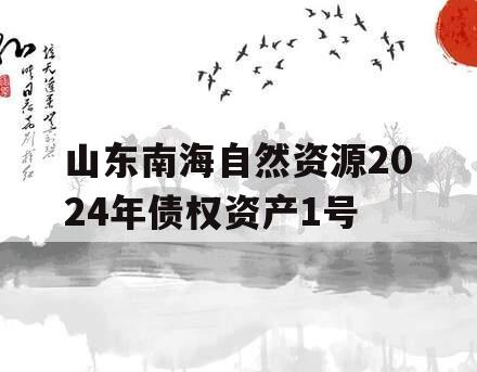 山东南海自然资源2024年债权资产1号