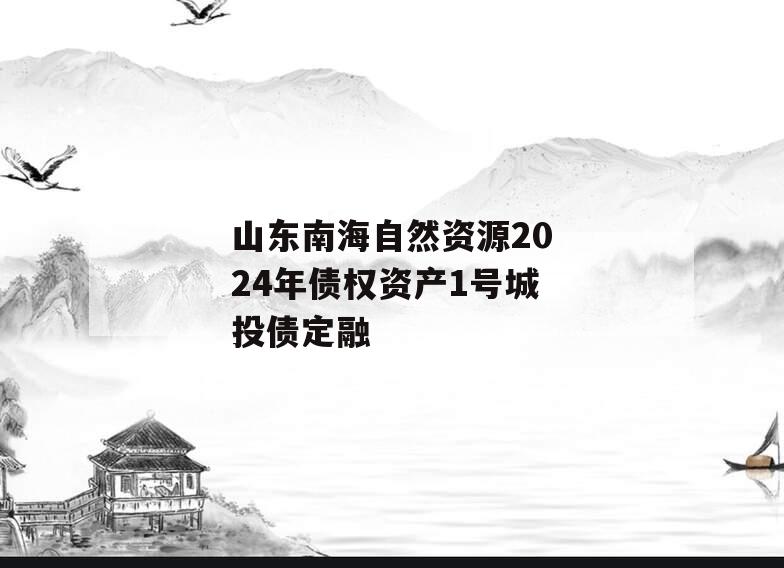山东南海自然资源2024年债权资产1号城投债定融