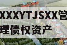XXXYTJSXX管理债权资产