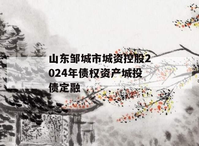 山东邹城市城资控股2024年债权资产城投债定融