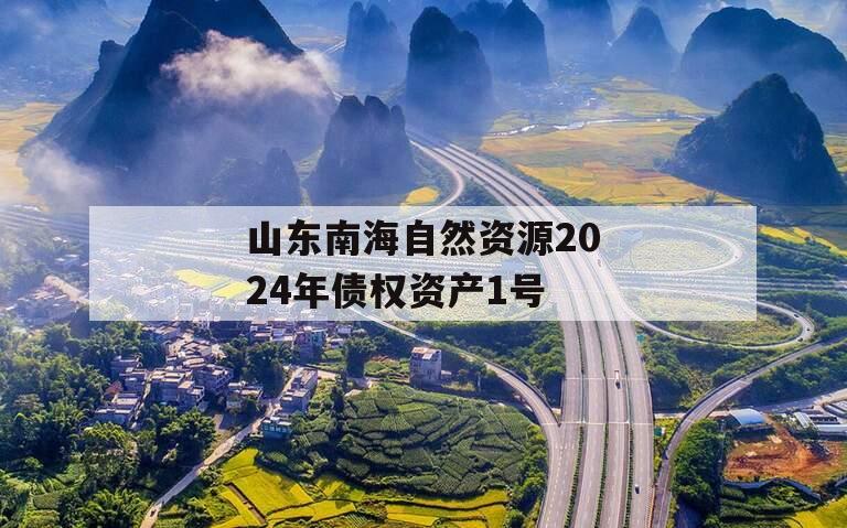 山东南海自然资源2024年债权资产1号