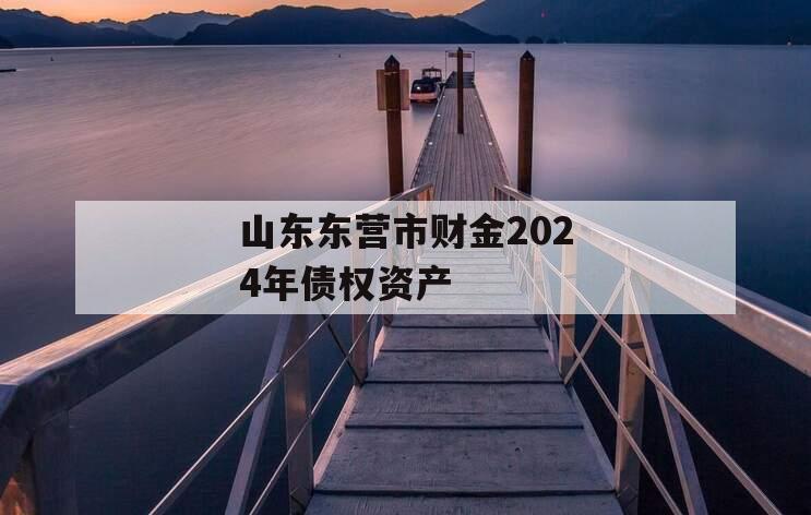 山东东营市财金2024年债权资产