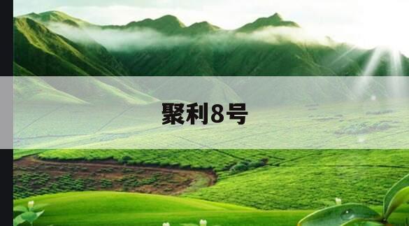 聚利8号