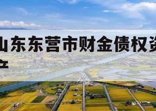 山东东营市财金债权资产