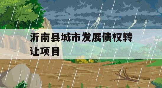 沂南县城市发展债权转让项目