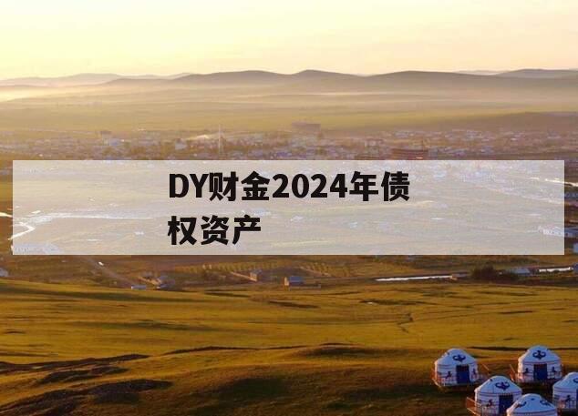 DY财金2024年债权资产
