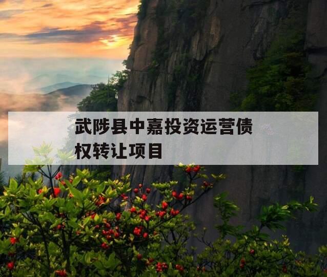 武陟县中嘉投资运营债权转让项目