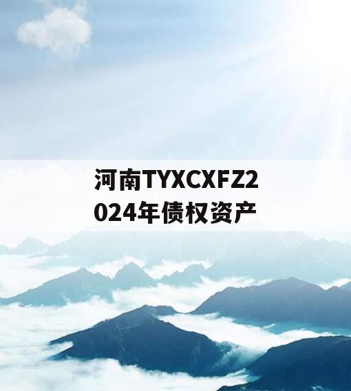 河南TYXCXFZ2024年债权资产