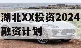 湖北XX投资2024融资计划