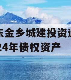 山东金乡城建投资运营2024年债权资产