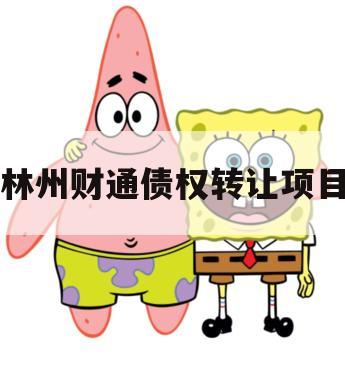 林州财通债权转让项目