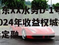 山东XX水务D-1号2024年收益权城投债定融