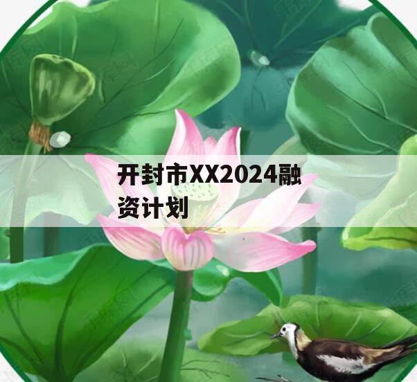 开封市XX2024融资计划