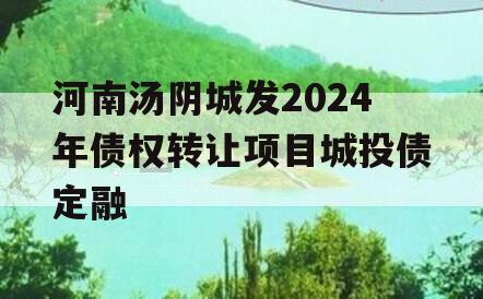 河南汤阴城发2024年债权转让项目城投债定融