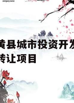 内黄县城市投资开发债权转让项目