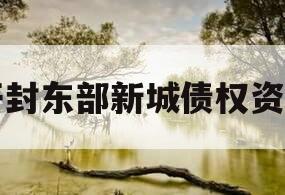 开封东部新城债权资产