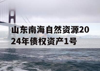 山东南海自然资源2024年债权资产1号