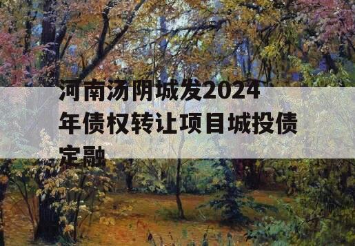 河南汤阴城发2024年债权转让项目城投债定融
