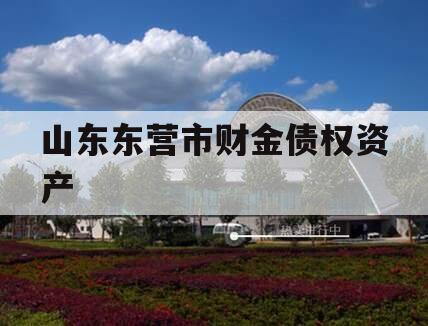 山东东营市财金债权资产