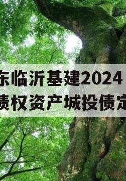 山东临沂基建2024年债权资产城投债定融