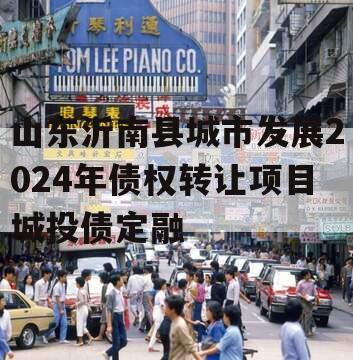 山东沂南县城市发展2024年债权转让项目城投债定融