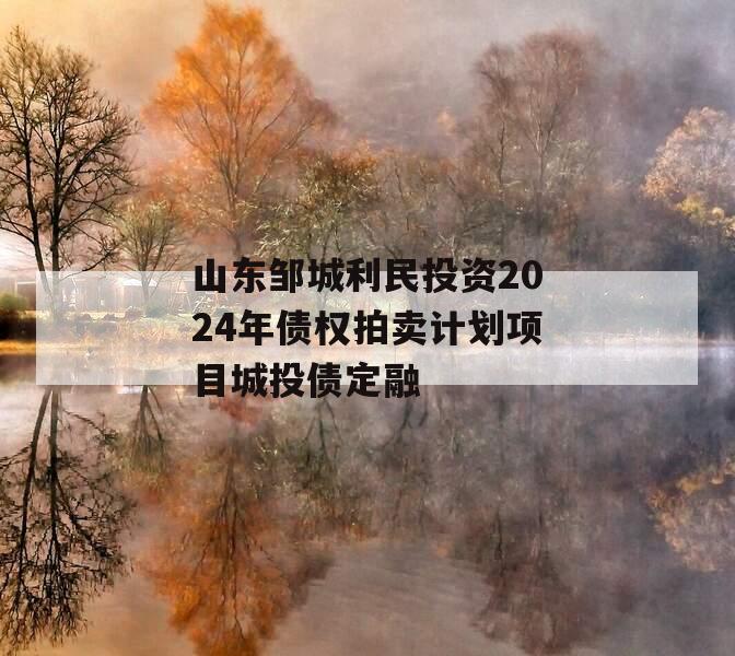 山东邹城利民投资2024年债权拍卖计划项目城投债定融