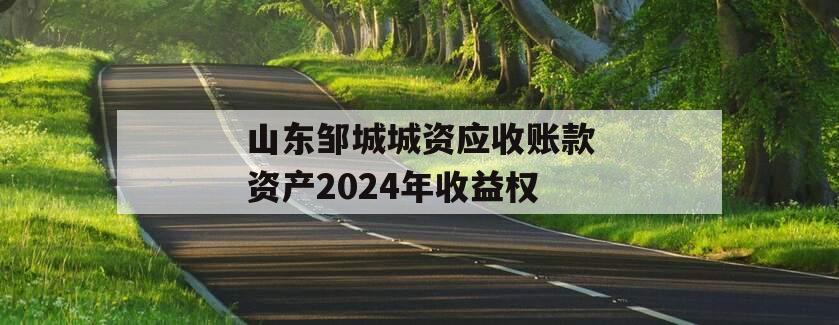 山东邹城城资应收账款资产2024年收益权