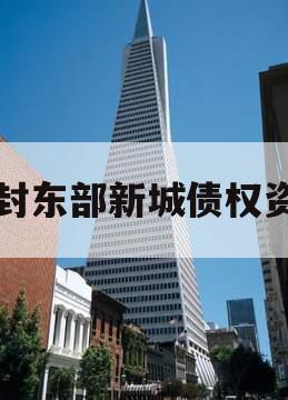 开封东部新城债权资产