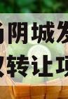 河南汤阴城发2024年债权转让项目