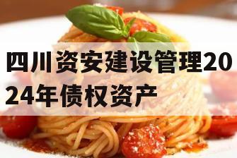 四川资安建设管理2024年债权资产