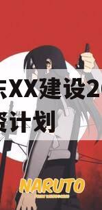 山东XX建设2024融资计划