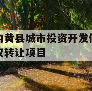 内黄县城市投资开发债权转让项目