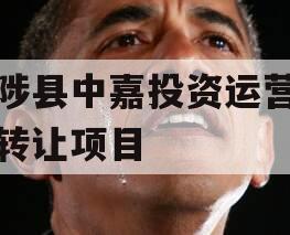 武陟县中嘉投资运营债权转让项目
