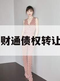 林州财通债权转让项目