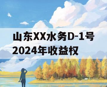 山东XX水务D-1号2024年收益权