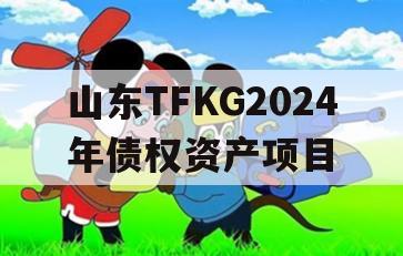 山东TFKG2024年债权资产项目