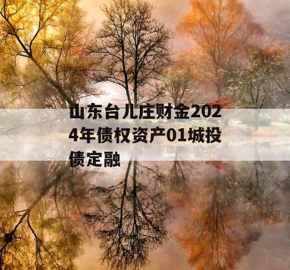 山东台儿庄财金2024年债权资产01城投债定融