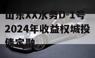 山东XX水务D-1号2024年收益权城投债定融